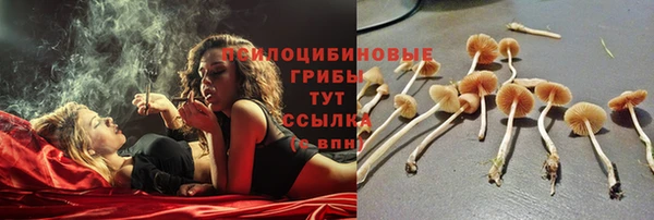 спиды Белоозёрский