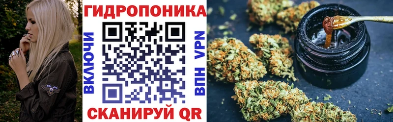 где найти   Кингисепп  Канабис тримм 